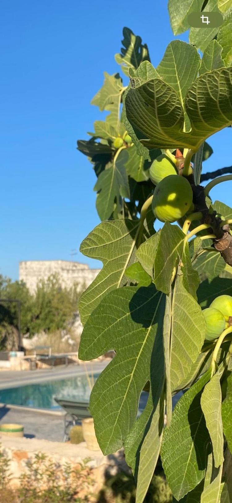 Masseria Serafino Остуни Екстериор снимка